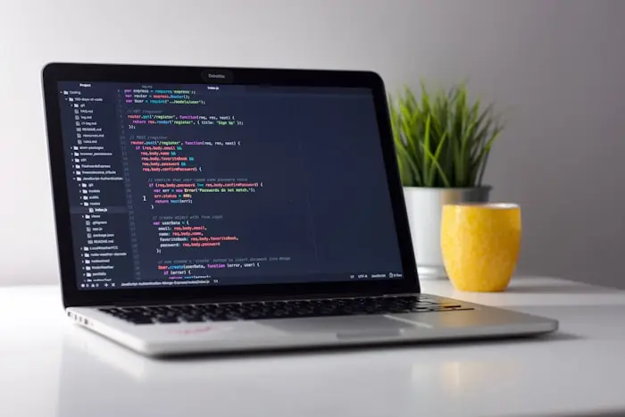 Développement informatique